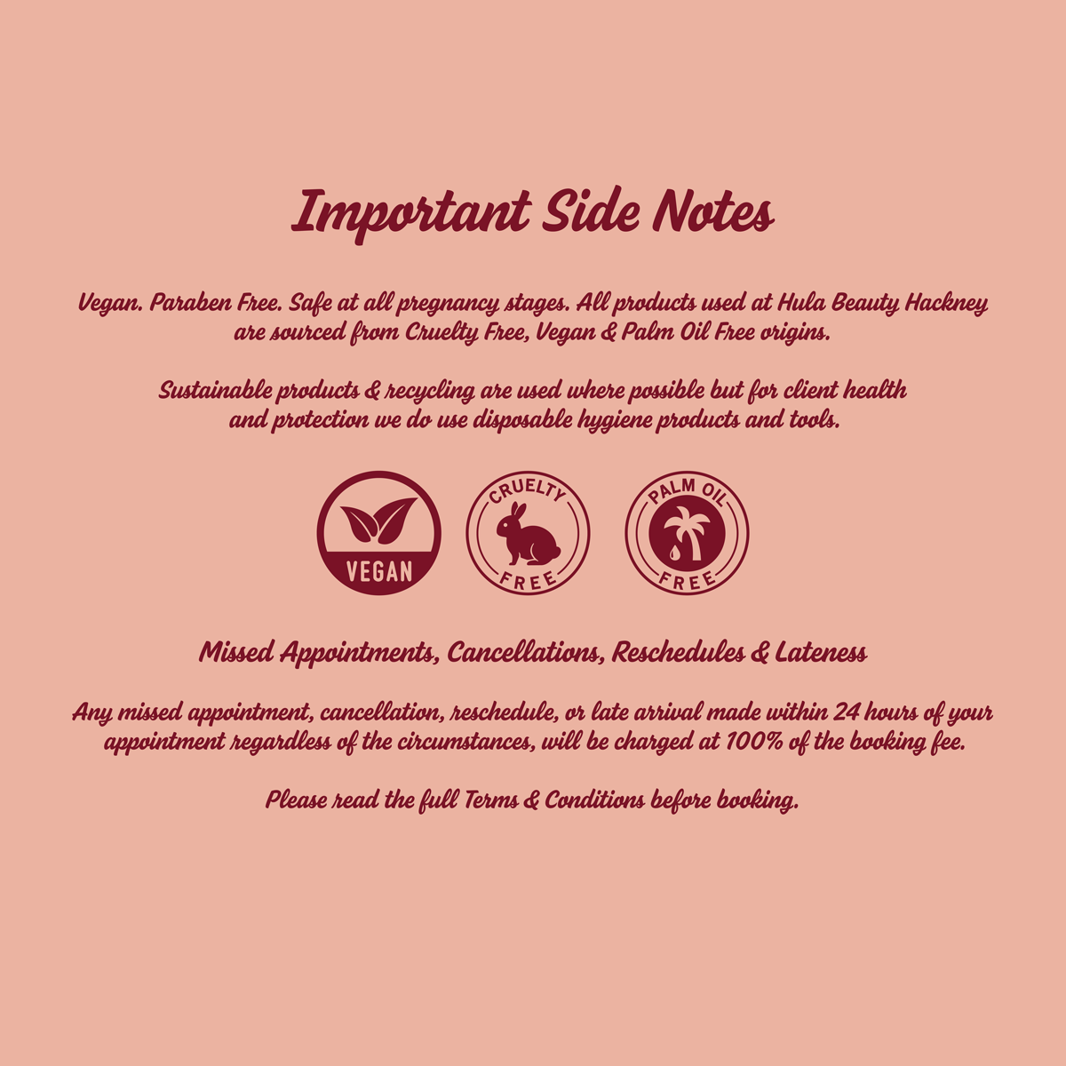 A pink informational graphic with the heading 'Important Side Notes' and several paragraphs of text about vegan, paraben-free, cruelty-free, and palm oil-free claims, plus three circular logos reading Vegan, Cruelty Free, and Palm Oil Free.