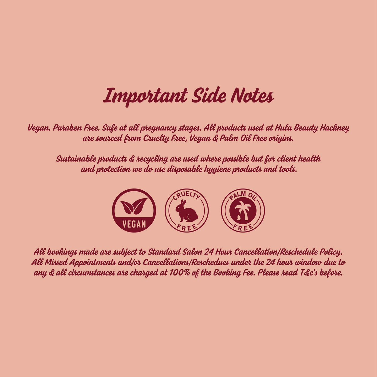 A pink informational card with the heading 'Important Side Notes' and several paragraphs of text plus three circular icons labeled Vegan, Cruelty Free, and Palm Oil Free.